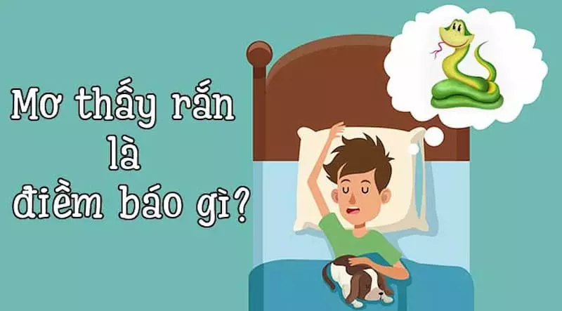 Điểm báo khi mơ thấy rắn